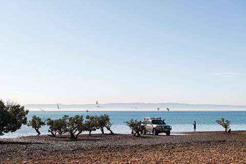 Camping At Point Lowly & Fitzgerald Bay - Accommodation Perth 0