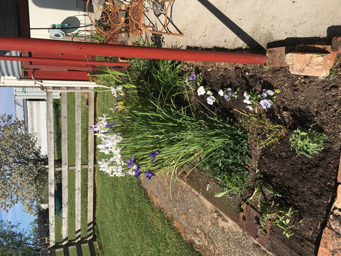 Fairview Bed And Breakfast Cottage - Accommodation Perth 2