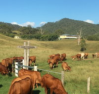 Farringdon Homestead - Accommodation Perth