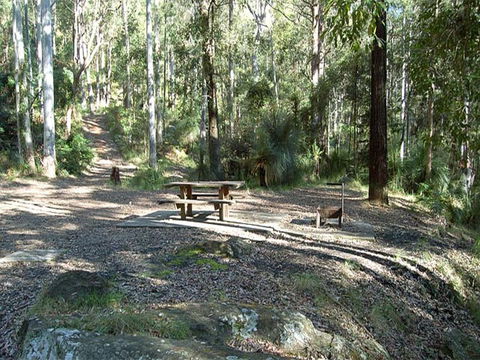 Gap Creek Campground - Accommodation Perth 1