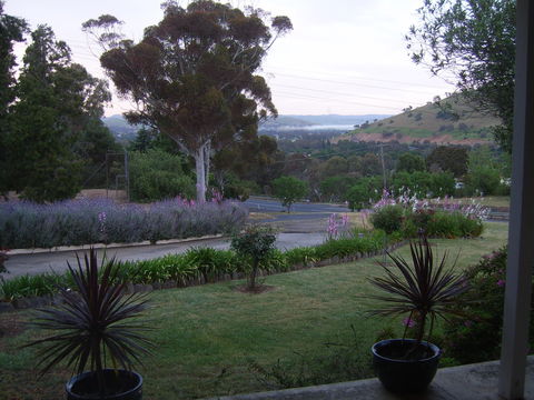 Garden Motor Inn (Golden Chain) - Accommodation Perth 3