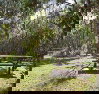 Illaroo group camping area - Accommodation Perth