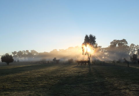 Mackereth's Hedon Farm - Accommodation Perth 1