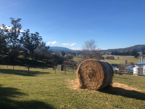 Mole Creek Hideaway - Accommodation Perth 4