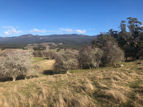 Mole Creek Hideaway - Accommodation Perth 5