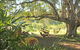 Nimbin Rox YHA - thumb 0