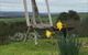Pear Tree Hollow - thumb 4