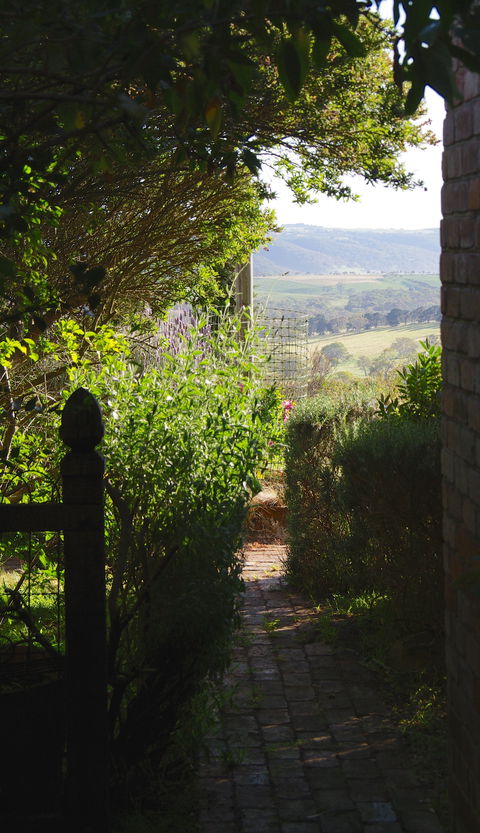 Pear Tree Hollow - Accommodation Perth 7