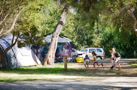 Rosebud Foreshore Camping - Accommodation Perth 2