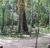 Six Mile Creek campground - Accommodation Perth