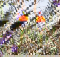 Twilight Grove Farm Bed and Breakfast - Accommodation Perth