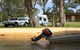 Willow Bend Caravan Park - thumb 0