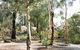 Bald Hill  Camp At Avon Valley National Park - thumb 0