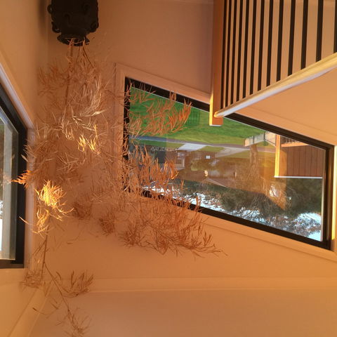 Barefoot Beach Stays - Accommodation Perth 1