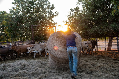 Bullo River Station - Accommodation Perth 2