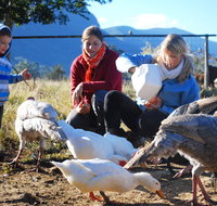 Cedar Glen Farmstay - Accommodation Perth
