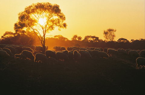 Clandulla Cottages & Farmstay - Accommodation Perth 0