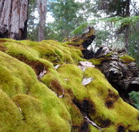 Fernhook Falls Camp at Mount Frankland South National Park - Perth Resorts