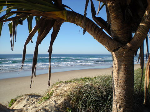 Horizons At Peregian - Perth Resorts 0