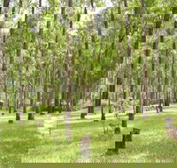 Nymboida River campground - Perth Resorts