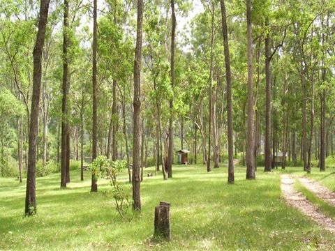 Nymboida River Campground - Accommodation Perth 0