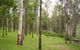 Nymboida River Campground - thumb 1