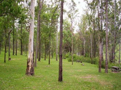 Nymboida River Campground - Accommodation Perth 1
