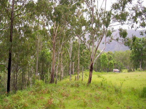 Nymboida River Campground - Accommodation Perth 2