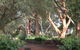 Outback Cellar Dubbo - thumb 2