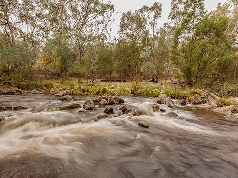 Pinch River Campground - Perth Resorts 2