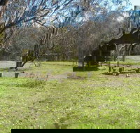 Tin Mines campground - Accommodation Perth