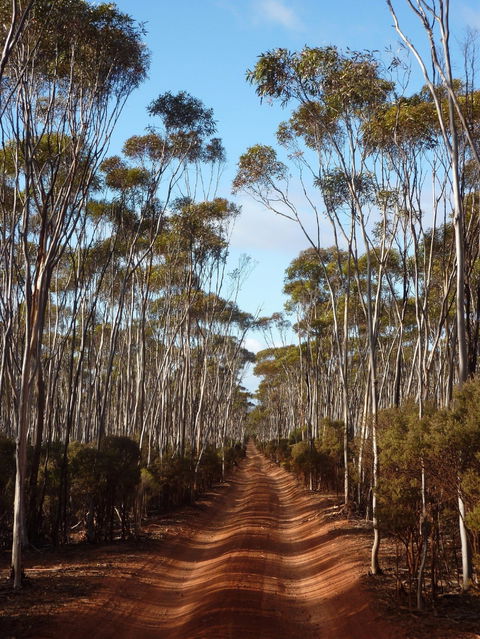 Victoria Rock Camp At Goldfields Woodlands National Park - Accommodation Perth 0