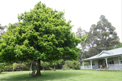 Wavestation - Accommodation Perth 0