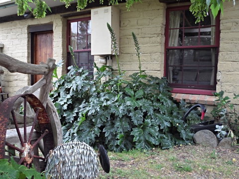 Woolly Butt Bungalow - Accommodation Perth 2