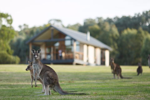 Yering Gorge Cottages - Accommodation Perth 0