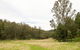 Blue Gums Campground - thumb 2