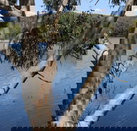 Bumberry Dam - Accommodation Perth
