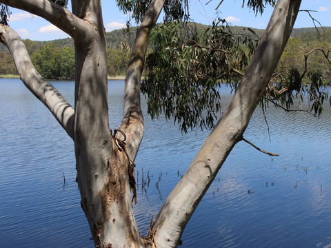 Bumberry Dam - Accommodation Perth 0