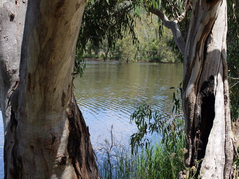 Bumberry Dam - Accommodation Perth 2