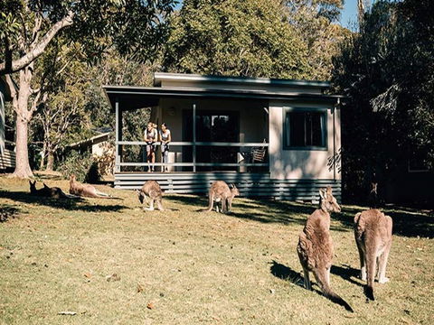 Depot Beach Cabins - Perth Resorts 0