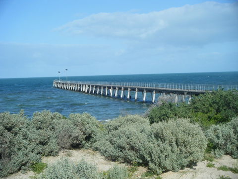Haslam Campground - Perth Resorts 0