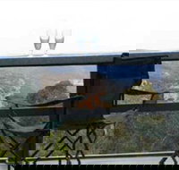 Hatters Hideout Lyres Loft - Accommodation Perth