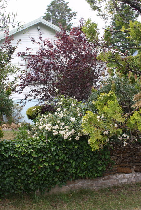 Katoomba Green Gables - Accommodation Perth 1