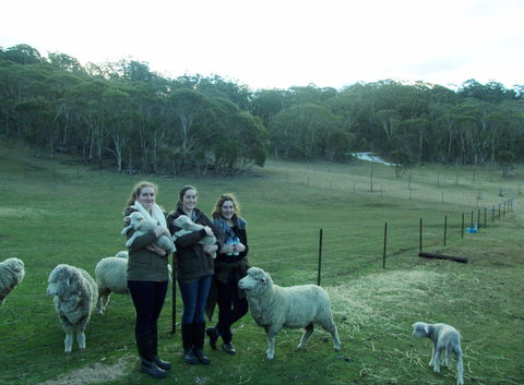 Old Minton Farmstay - Accommodation Perth 1