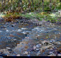 Toorooroo campground - Perth Resorts