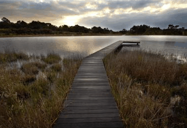 Hidden Valley Forest Retreat - Accommodation Perth 4