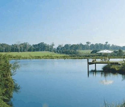 Forest Rise Eco Retreat - Accommodation Perth