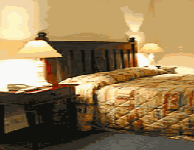 Comfort Inn Treetop Walk - Accommodation Perth