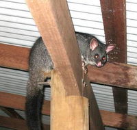 Warren River Resort - Accommodation Perth