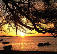 Pelican's Nest - Accommodation Perth